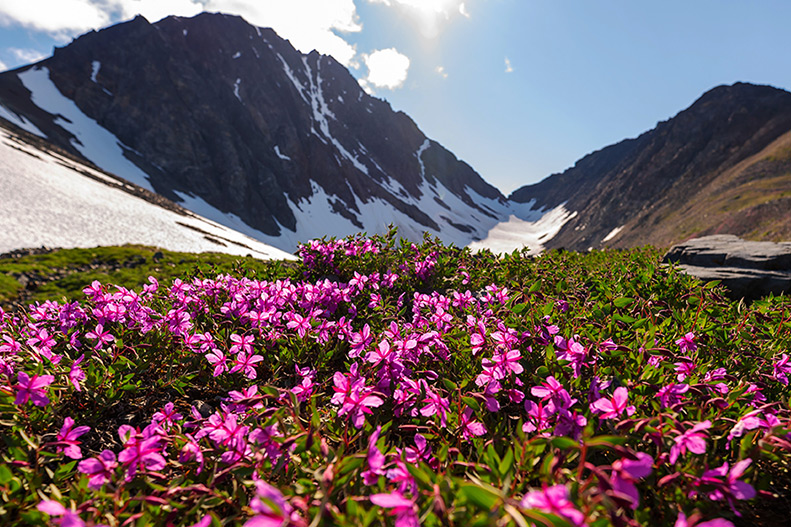 Scenic mountain view