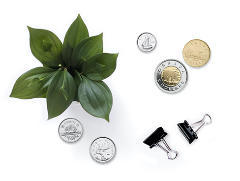 Plant with change